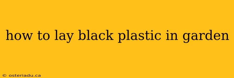 how to lay black plastic in garden