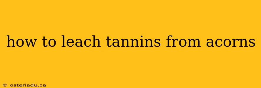 how to leach tannins from acorns