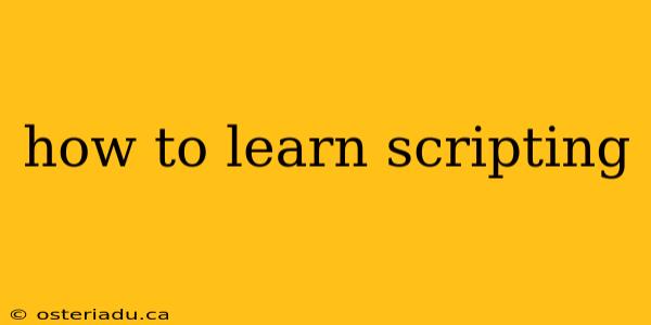 how to learn scripting