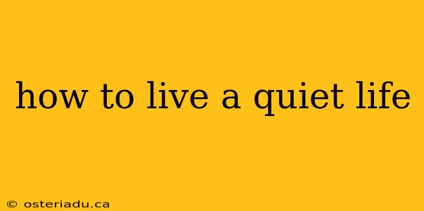 how to live a quiet life