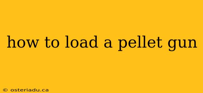 how to load a pellet gun