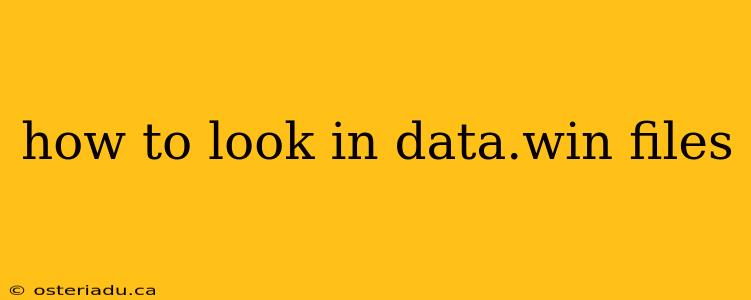 how to look in data.win files