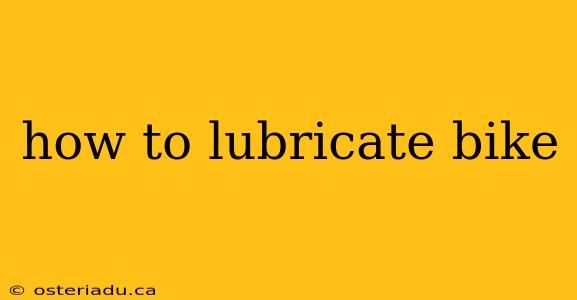 how to lubricate bike