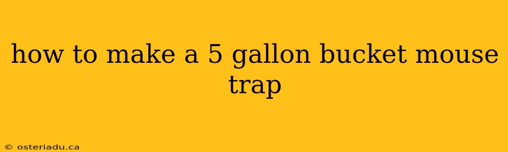 how to make a 5 gallon bucket mouse trap