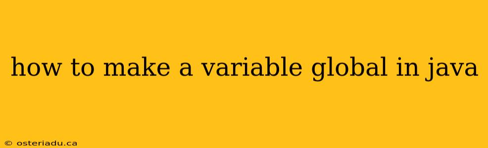 how to make a variable global in java