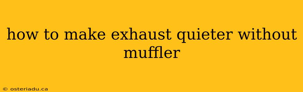 how to make exhaust quieter without muffler