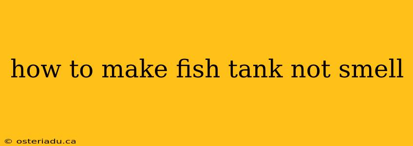 how to make fish tank not smell