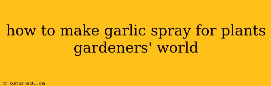 how to make garlic spray for plants gardeners' world