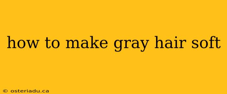 how to make gray hair soft