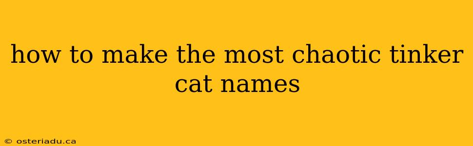 how to make the most chaotic tinker cat names