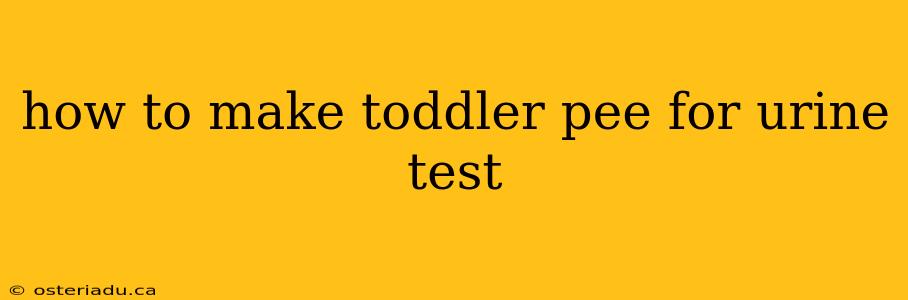 how to make toddler pee for urine test