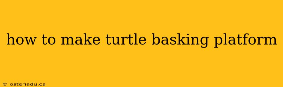 how to make turtle basking platform