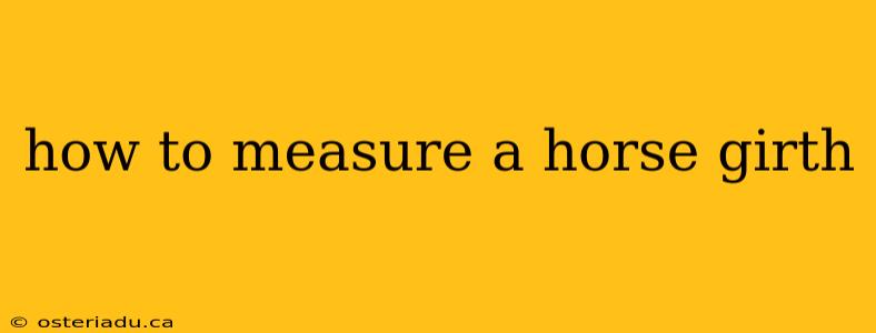 how to measure a horse girth