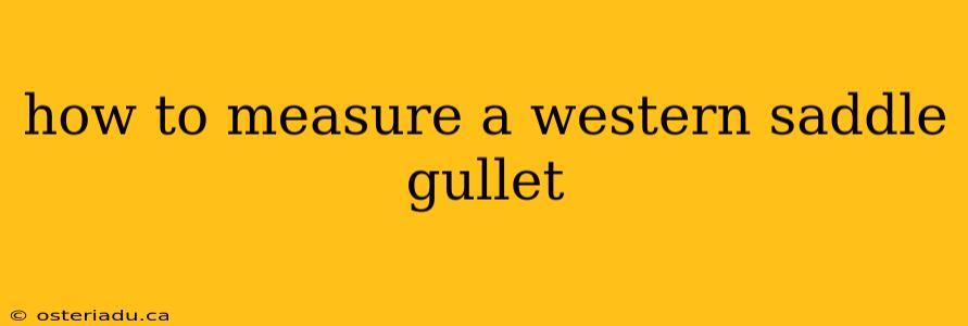 how to measure a western saddle gullet