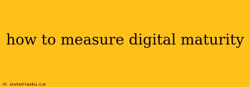 how to measure digital maturity