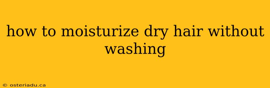 how to moisturize dry hair without washing