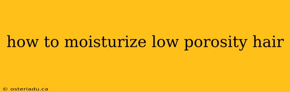 how to moisturize low porosity hair