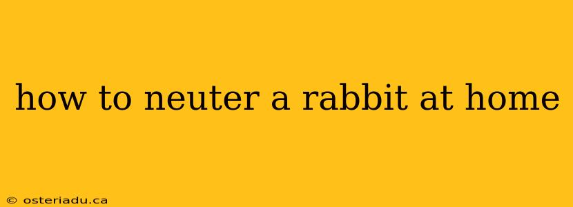 how to neuter a rabbit at home