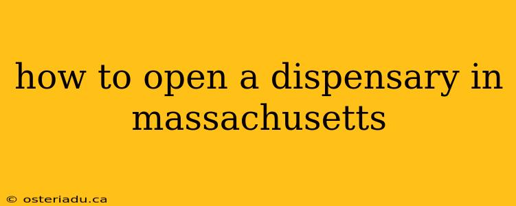 how to open a dispensary in massachusetts