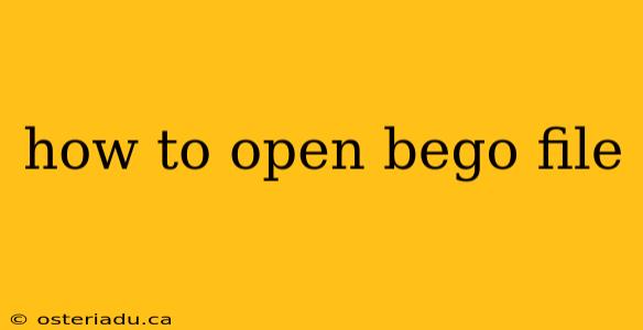 how to open bego file