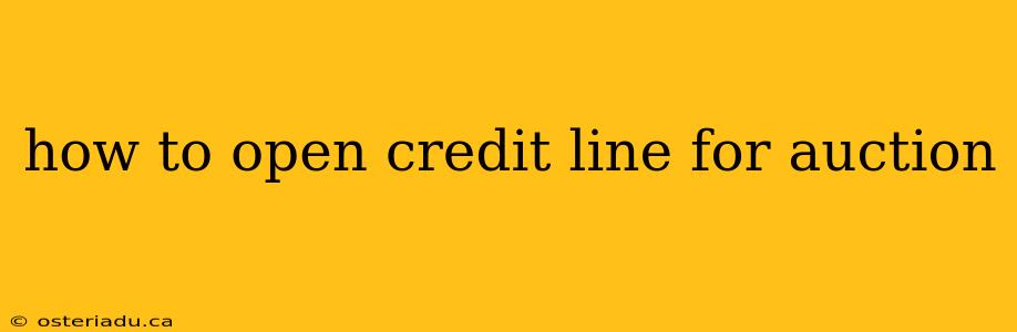 how to open credit line for auction