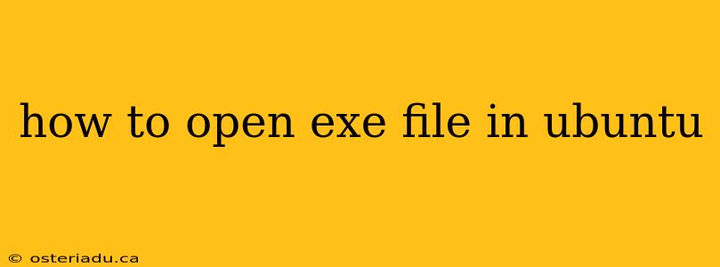 how to open exe file in ubuntu