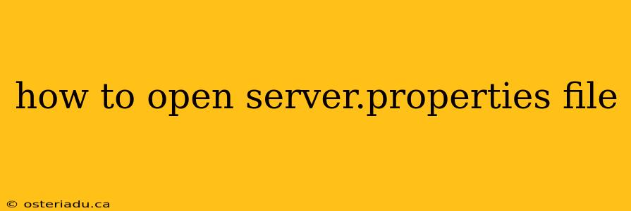 how to open server.properties file