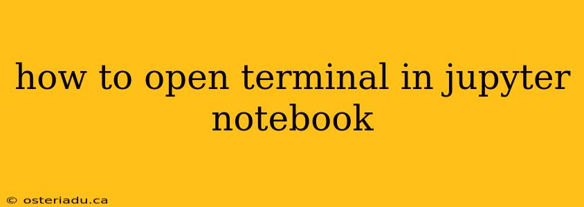 how to open terminal in jupyter notebook