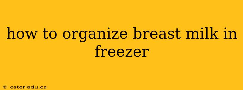 how to organize breast milk in freezer