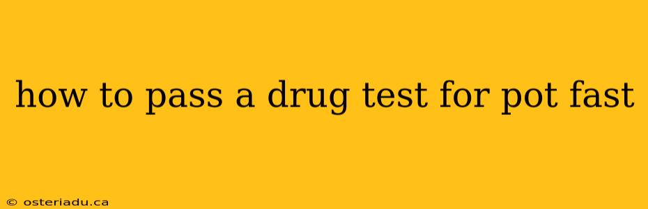 how to pass a drug test for pot fast