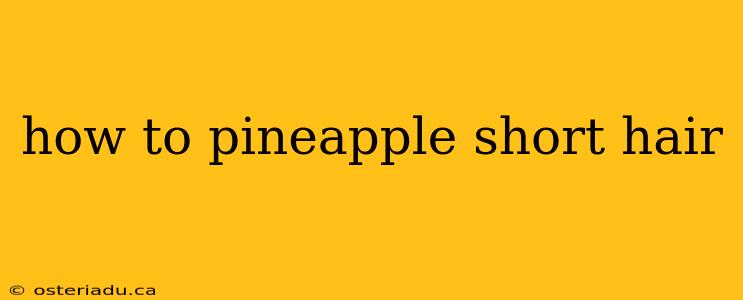 how to pineapple short hair