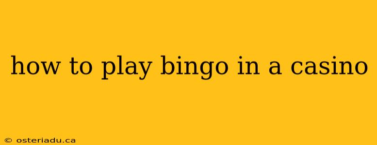 how to play bingo in a casino