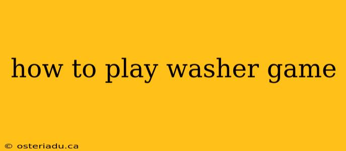 how to play washer game