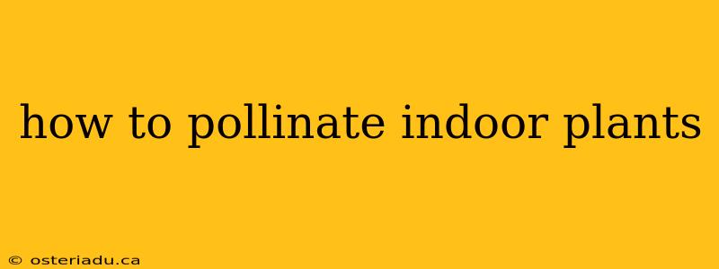 how to pollinate indoor plants