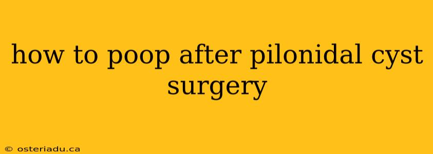 how to poop after pilonidal cyst surgery