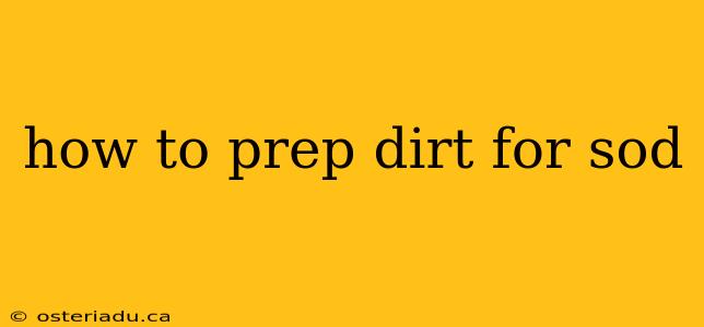 how to prep dirt for sod