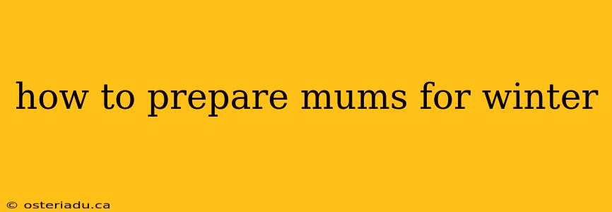 how to prepare mums for winter