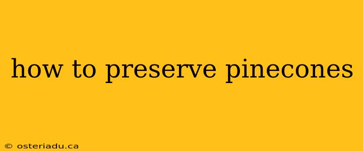 how to preserve pinecones