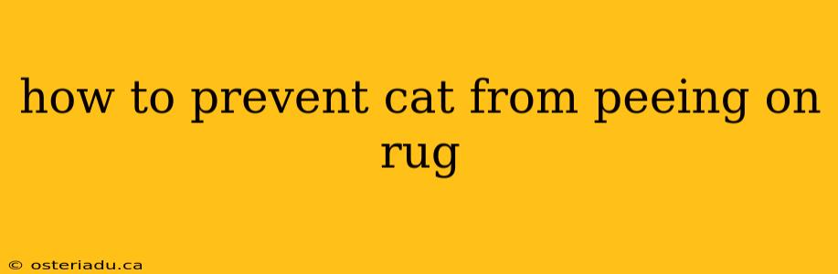 how to prevent cat from peeing on rug