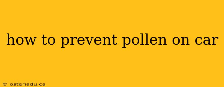 how to prevent pollen on car