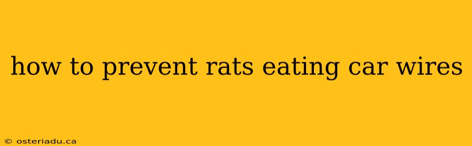 how to prevent rats eating car wires