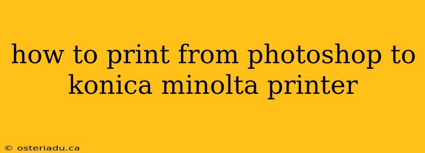 how to print from photoshop to konica minolta printer