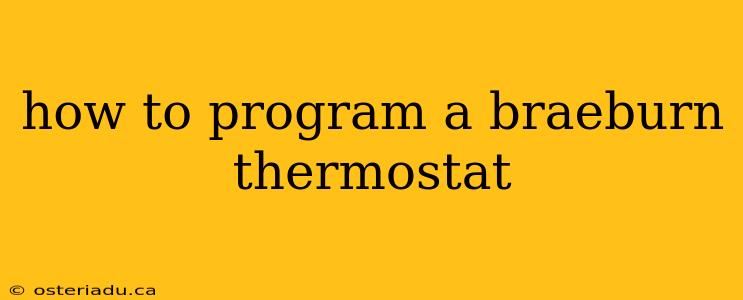 how to program a braeburn thermostat