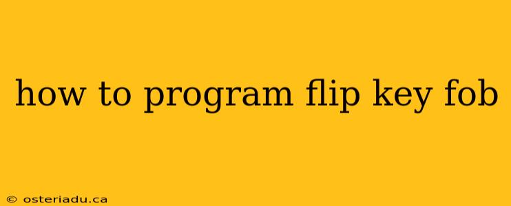 how to program flip key fob