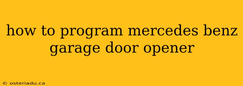 how to program mercedes benz garage door opener