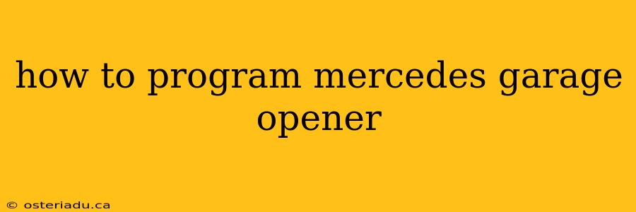 how to program mercedes garage opener