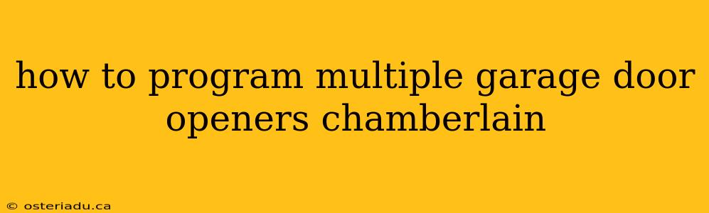 how to program multiple garage door openers chamberlain