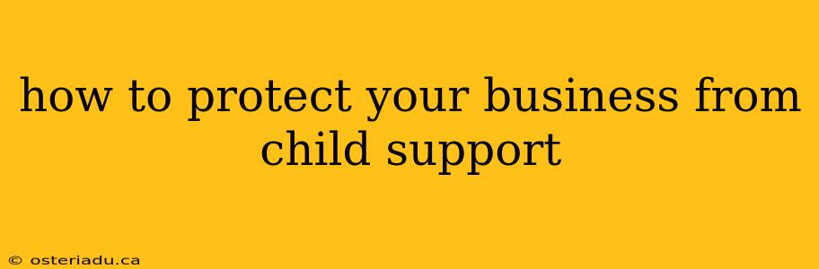 how to protect your business from child support