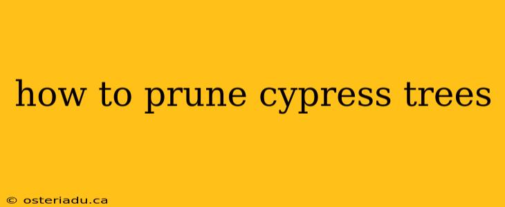 how to prune cypress trees