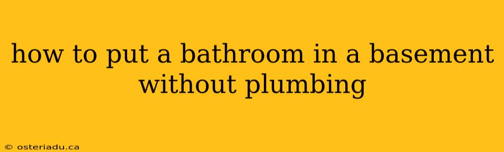 how to put a bathroom in a basement without plumbing